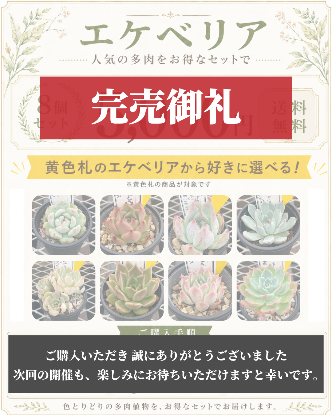 セット割りキャンペーン