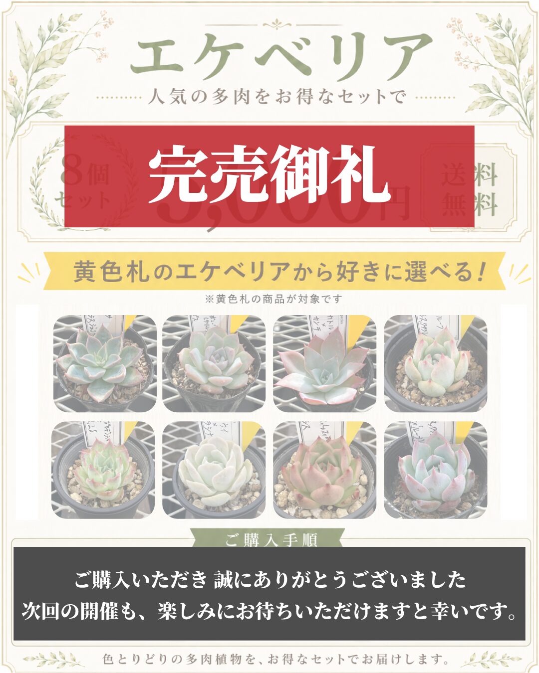 セット割りキャンペーン